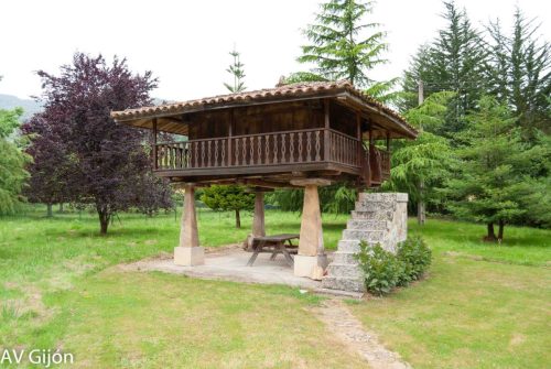 Xana 7